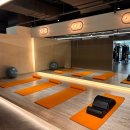 퍼센트짐 우산점 이미지