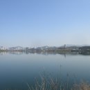 수원팔색길 매실길 이미지