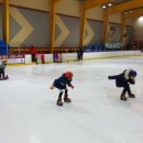 경희대 박사 Tiger kicks 태권도 이미지