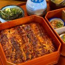 경이로운장어 | 서촌 장어덮밥 1순위 맛집, 해목 서촌점 내돈내산 솔직후기