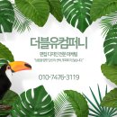 더블유디자인