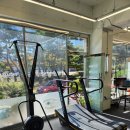 엉클베어스윔앤피티 이미지