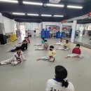 경희대 효도태권도장 이미지