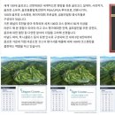 삼구인화원 이미지