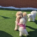 스타스테이 이미지