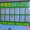 사파동263 이미지