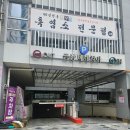 루트핏(ROOT FIT) | 세종 보람동 헬스장 PT 재활 기능성 운동 이루트핏 체험 후기