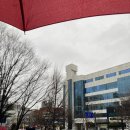 송파주유소 | 나 홀로 초보 탈출 운전 연습 - 비 오는 날 운전 연습 후기 (feat. 송파-광교 호수 공원-하얀 풍차제과점)