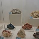 덕소자연사박물관 이미지