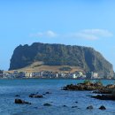 오조리-8 이미지