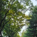 배수지 공원주변 이미지