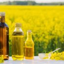 씨유 제주연동점 이미지