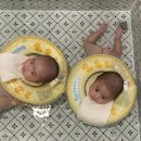 달다스테이 | 4개월 쌍둥이와 제주도여행 (1)