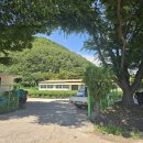＜My Friend, the Zelkova Tree＞ 느티나무 - 윤동재 시인의 ＜느티나무 동무＞외 2편 이미지