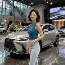 유카센타 | "6000만원대!" 2026 신형 렉서스 NX350h 풀체인지 가격 실구매가 비교차량 연비 제원 하이브리드 화제