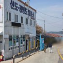 장봉매표소 | 2026 신시모도 배편 배시간 가격 할인 &amp; 장봉도 벚꽃축제