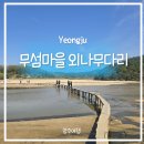 구난이 약나무 마을 | 영주 여행] 폭 30cm 다리 위의 설렘 — 무섬마을 외나무다리 다녀온 솔직후기