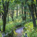 고갯마루 이미지