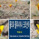 틴카 - 수원시 권선구 서부로 1632-5 | 틴카