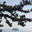 세원여행사 이미지