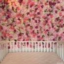 어몽독스 이미지