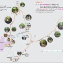 팔공산올레길 7코스 이미지