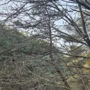 명성산 등산로 | 찬바람 끝의 힐링, 포천 명성산 산행 후기와 등산코스(feat.억새군락지,포천 산정호수)