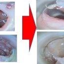 속초동물의료센터 이미지