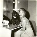 CW-1784-01 이미지