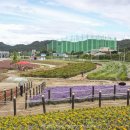 나리공원 파크골프장 화장실 이미지