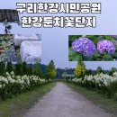 한강시민공원(한강둔치꽃단지) | 조용하고 자연경관이 좋은 구리한강시민공원, 한강둔치꽃단지 방문후기 | 구리한강시민공원 주차장 정보