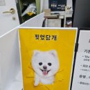 꽃이랑개랑 이미지