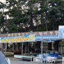 홀통중앙횟집 네이버블로그