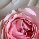 업타운케익 네이버블로그