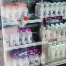 공주(당진) | 공주휴게소 (당진방향) 공주밤빵 알밤빵 후기