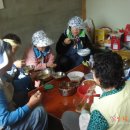 보람 농원 이미지