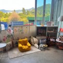 댕수무강 | 대구 수성구 강아지 케이크 주문제작 댕수무강