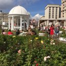 장미정원민박 이미지