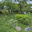 민들레쌈밥 | [고촌 쌈밥전문-초심]수제 갈비부터 쭈꾸미 쌈밥까지, 가성비 높은 '초심' 다녀온 후기