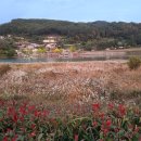 섬진강 자전거길 우체통 이미지