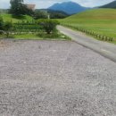 금동백숙 이미지