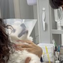 동탄원더스동물의료센터 이미지