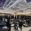 라이언짐 이미지