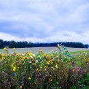 분당정자 동물병원 이미지