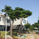 썬댄스펜션 이미지