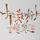 나무와 해(海) 네이버블로그
