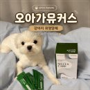 강아지 소화기 영양제 추천 오아가 뮤커스케어 급여 후기