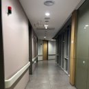 더마르한 이미지