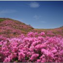 청사랑약국 이미지