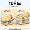 우량아 | 우량아 출산 기준 4kg대 출산 간접 후기, 뜻까지 정리